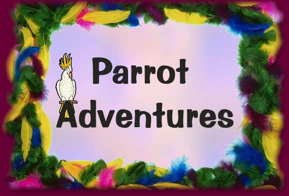 Parrot Adventures
